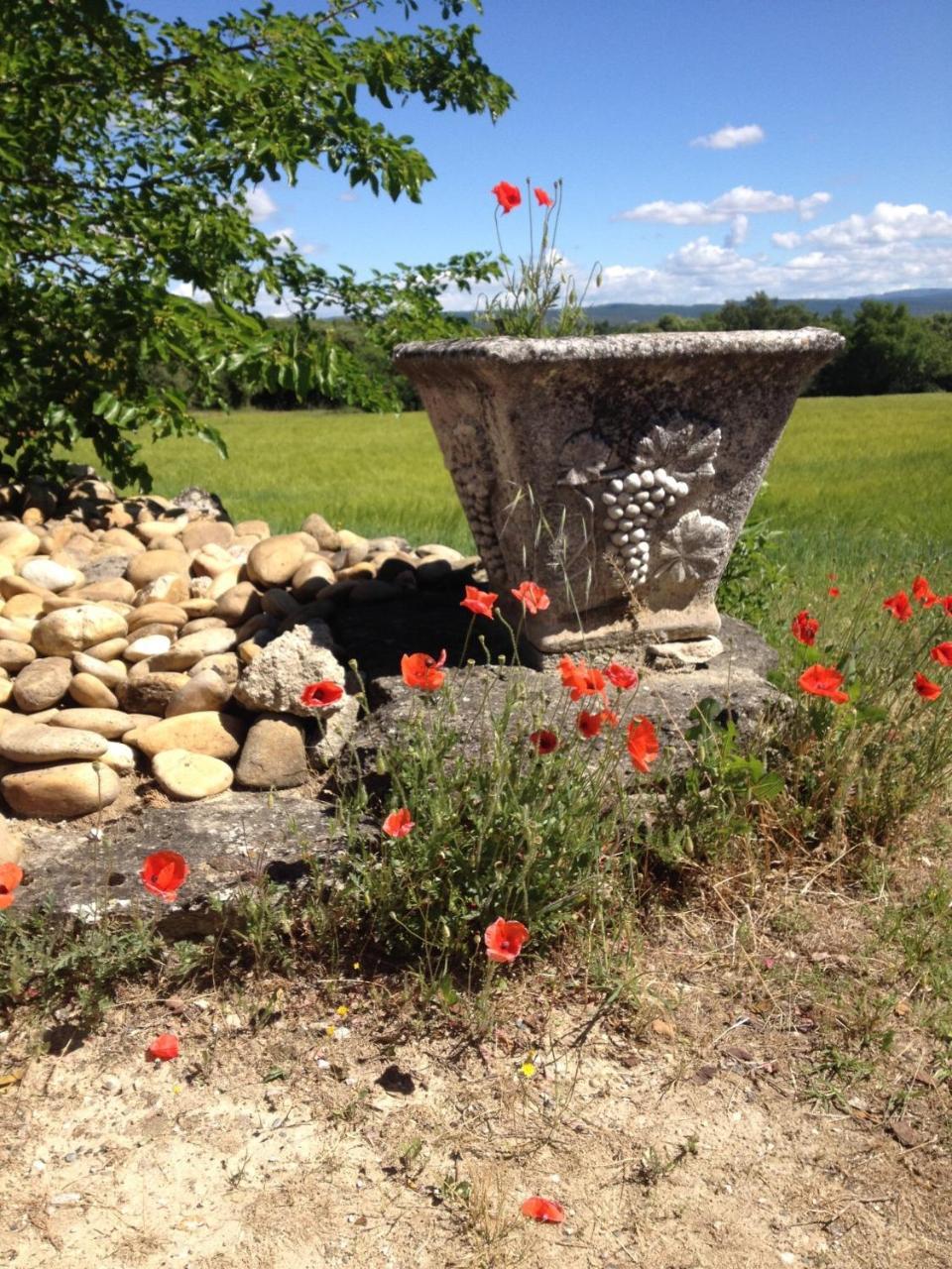La Salamandre Bleue Villa Chantemerle-lès-Grignan Eksteriør bilde